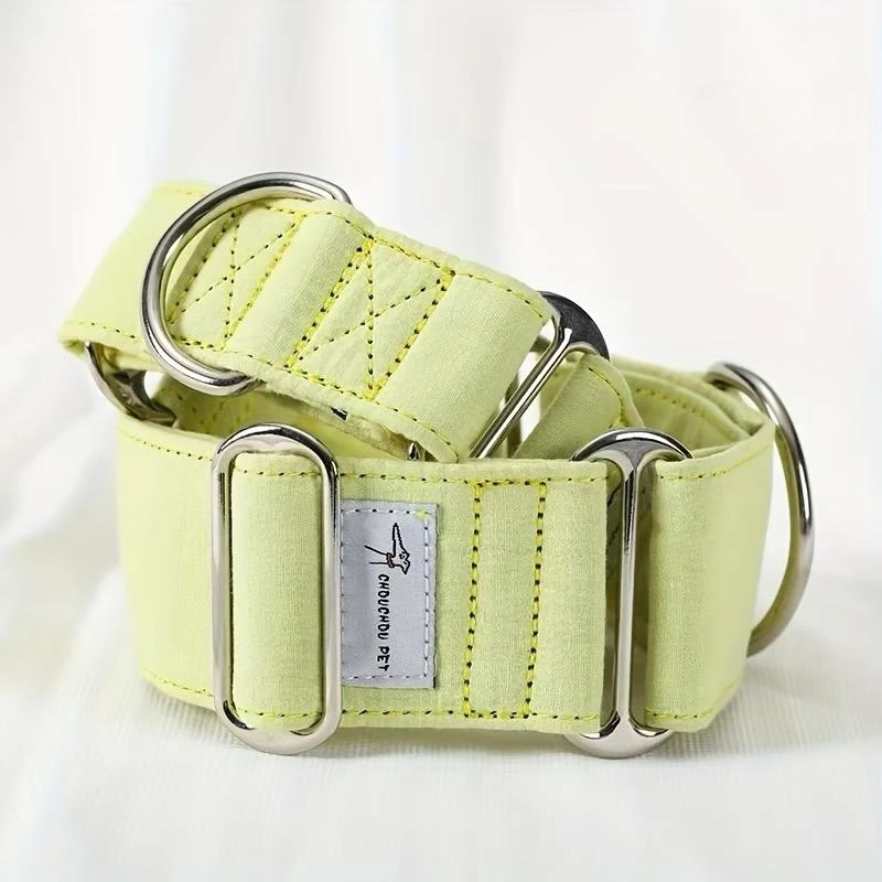 Collar verde con hebilla metálica